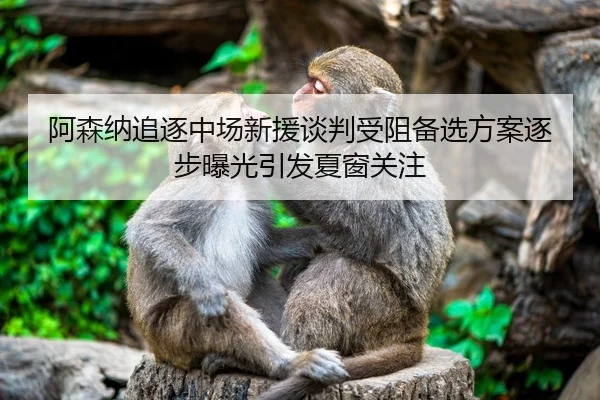 阿森纳追逐中场新援谈判受阻备选方案逐步曝光引发夏窗关注